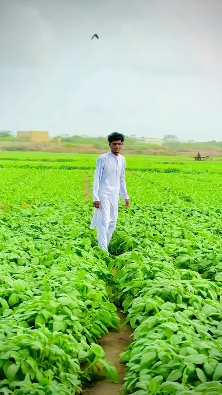 @Awais Ali 03