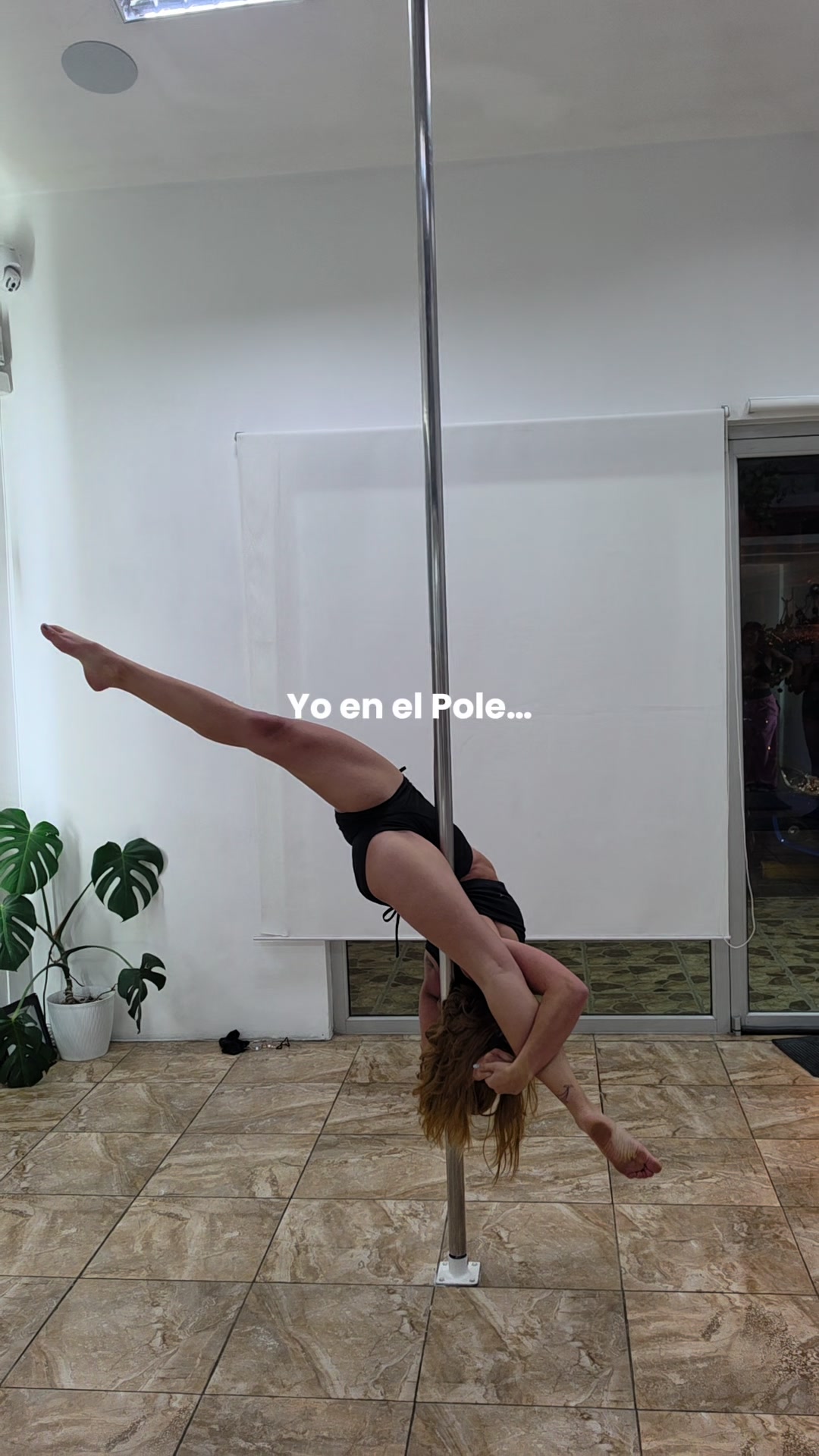 @aurispole