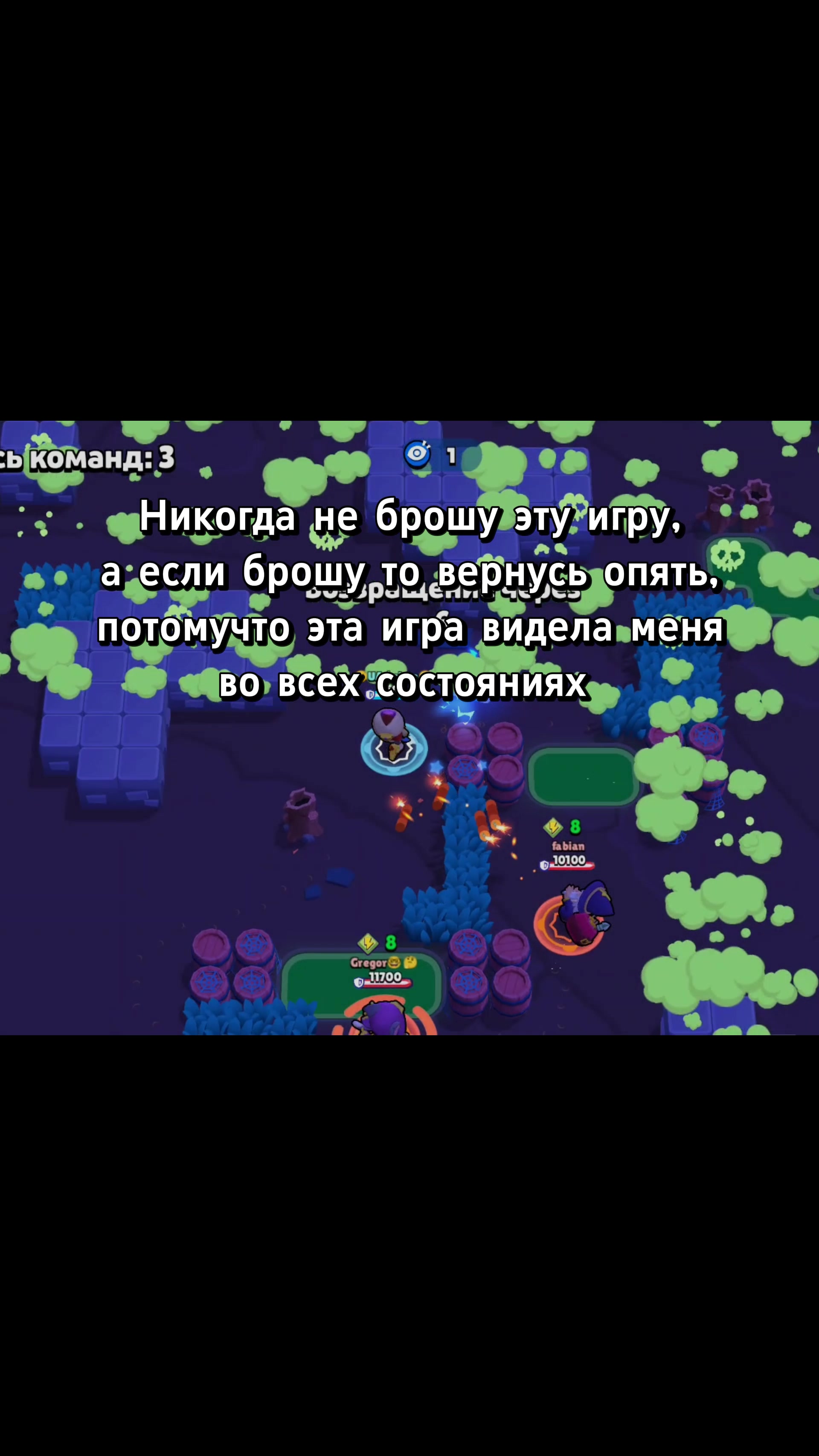 @zechhh