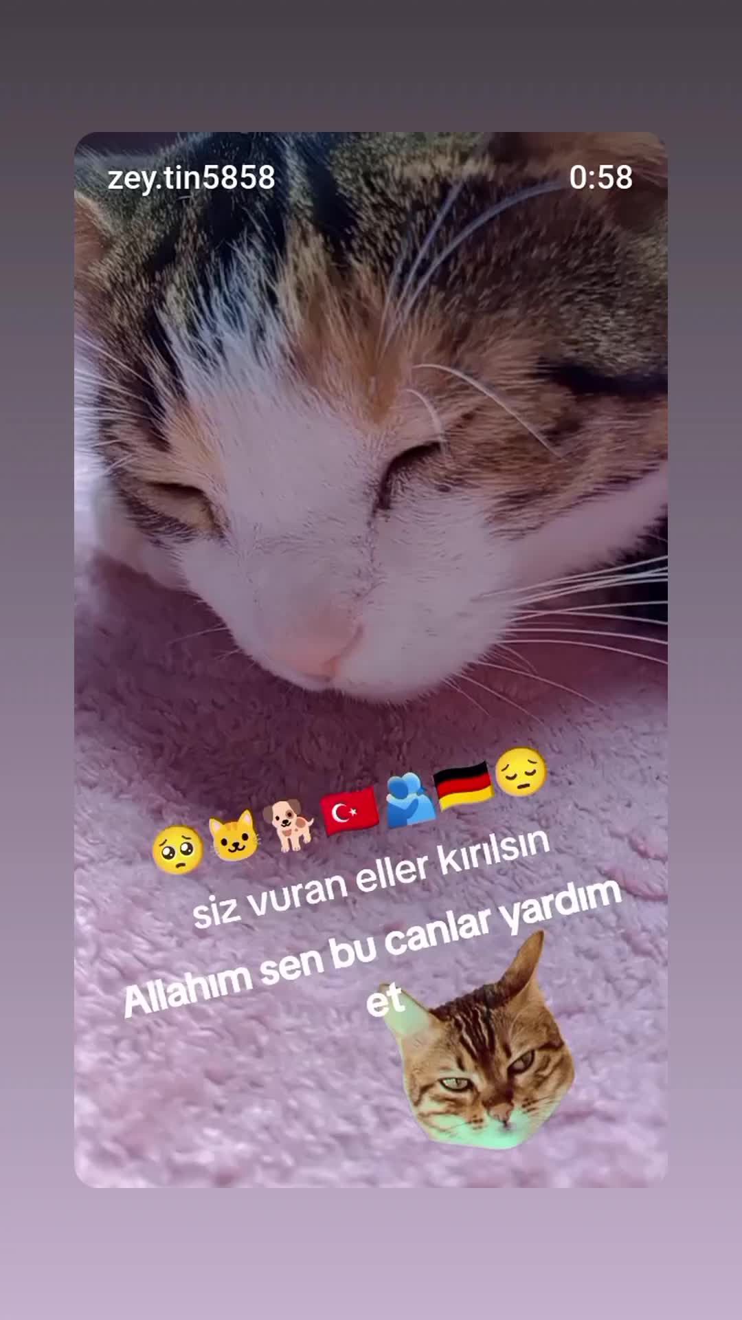 @cennet