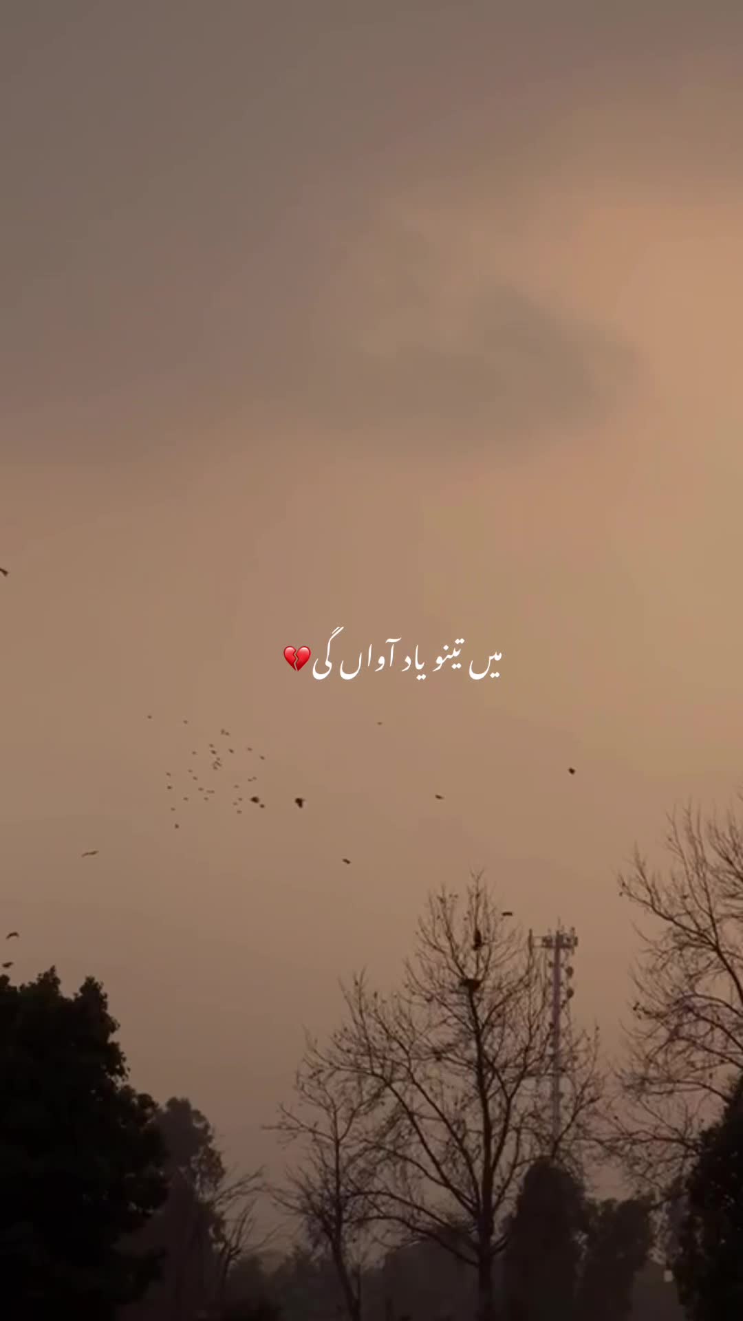 @:")