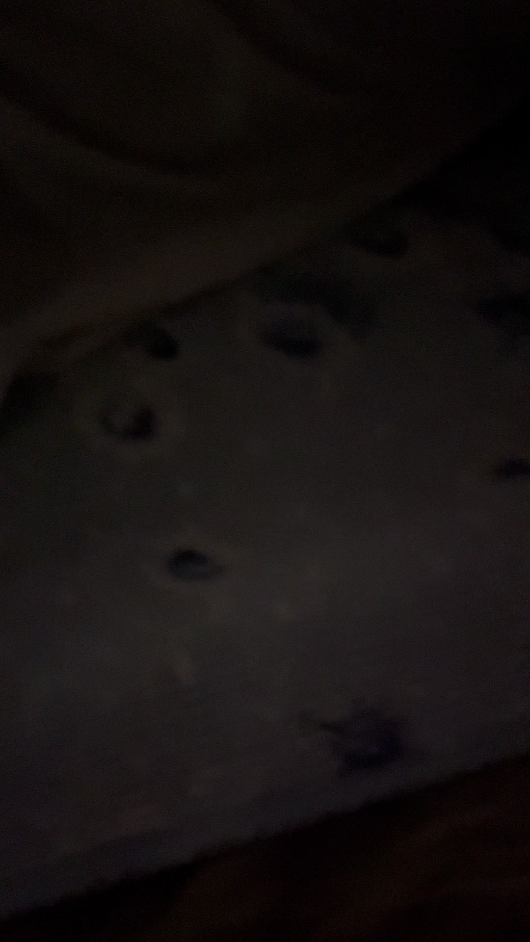 @1AN๐ต๐ญ