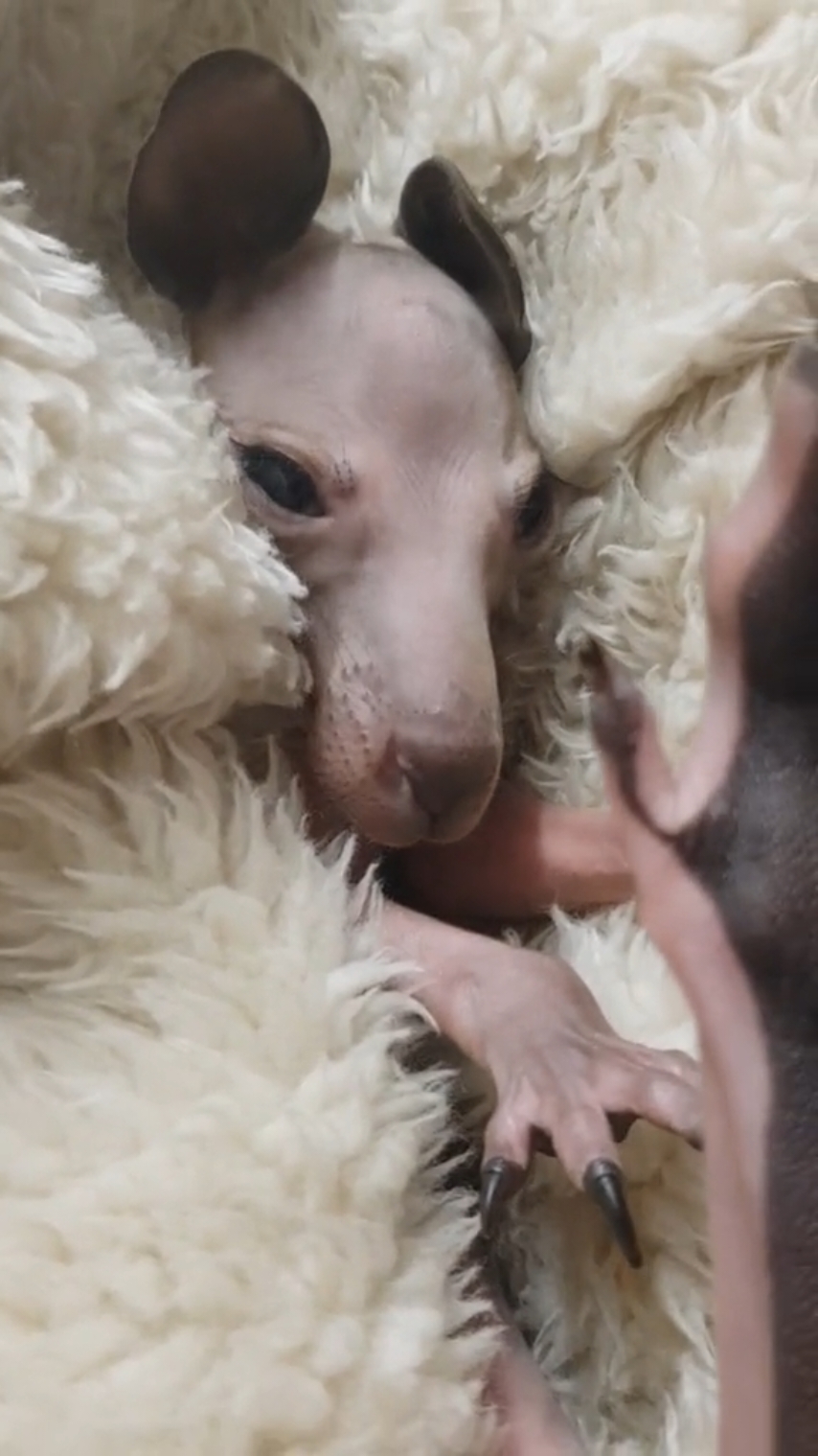 @Tanya 🐨🦘
