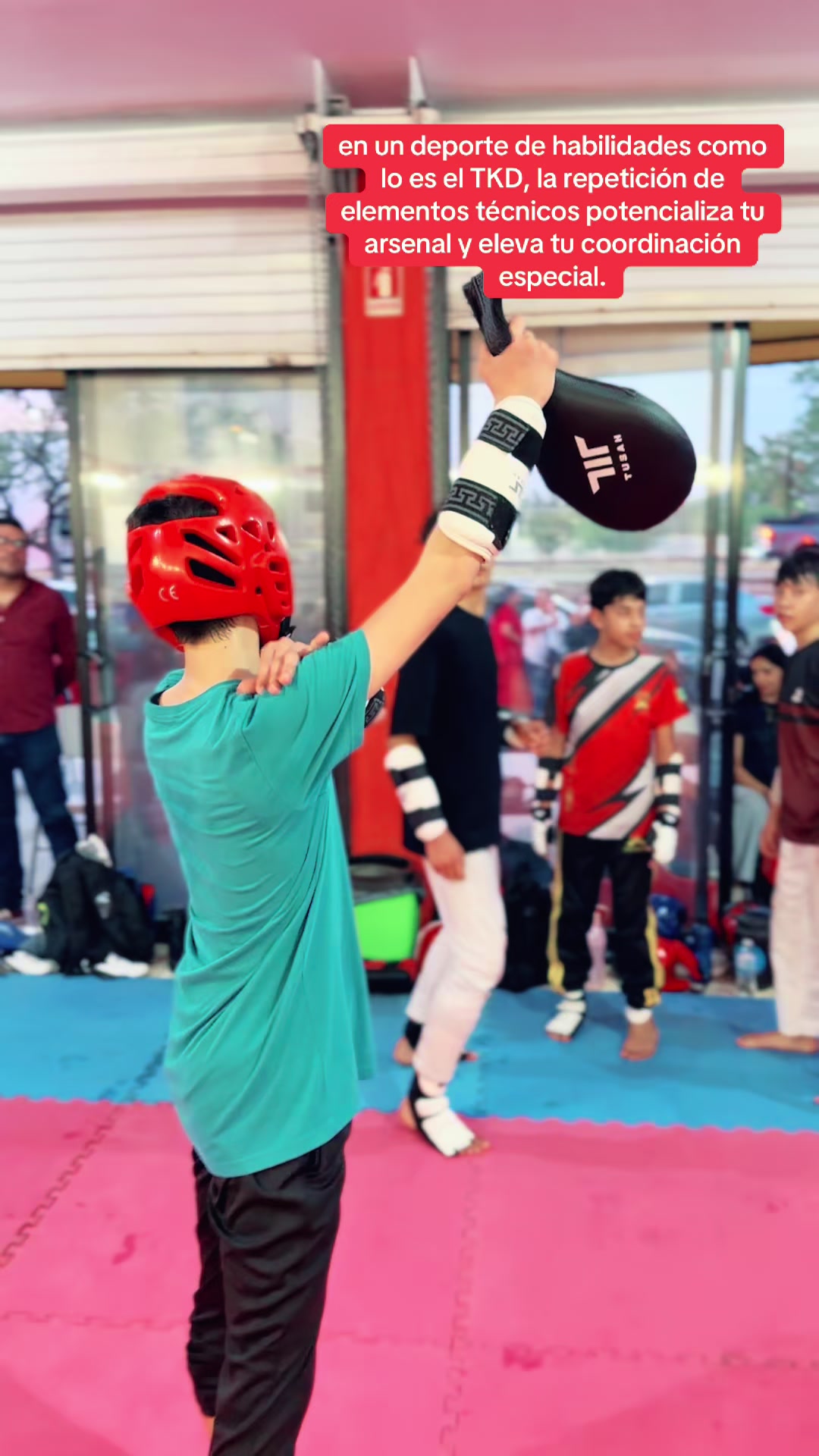 @Especialistas TKD