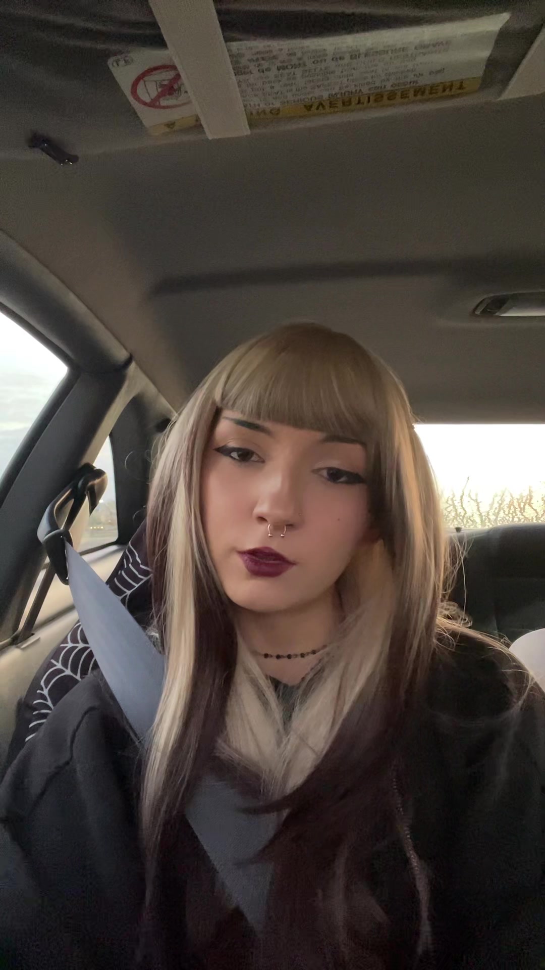 @🐑