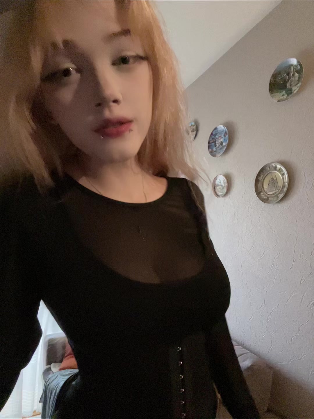 @лацертида