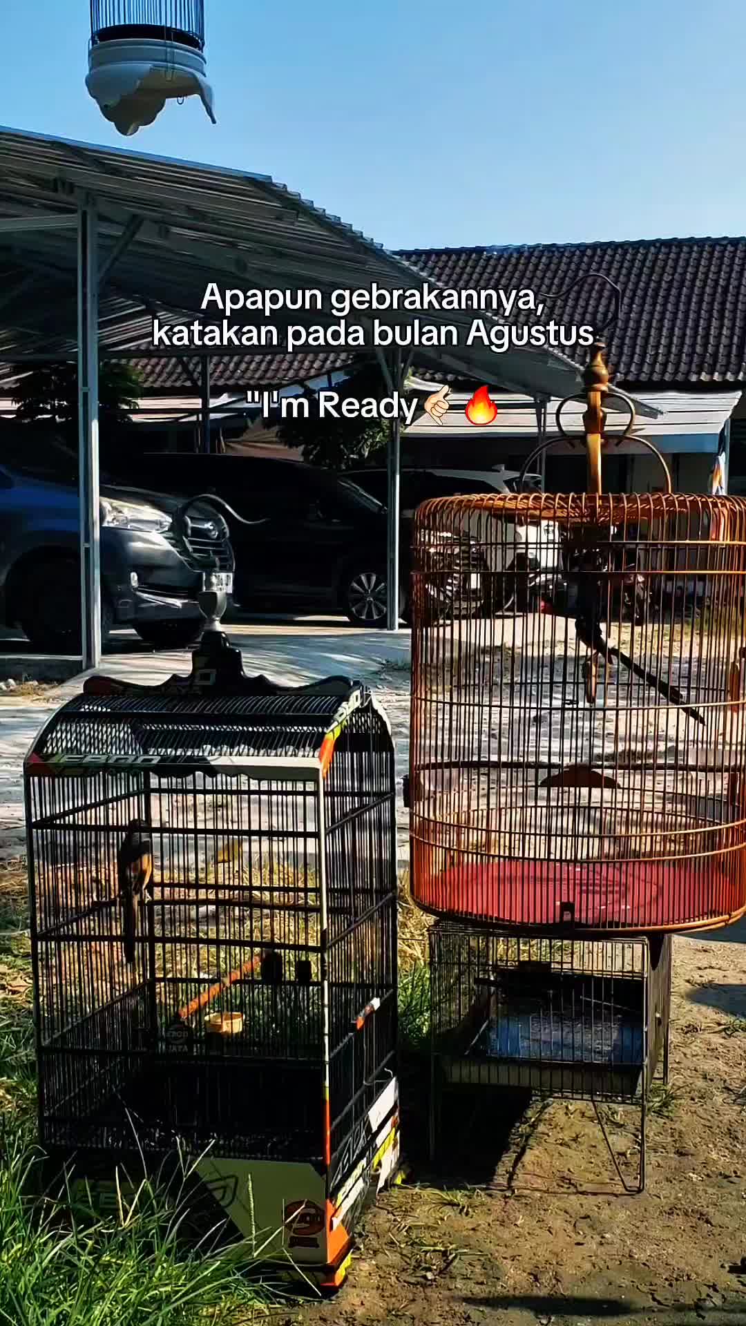 @DEN BAGUS