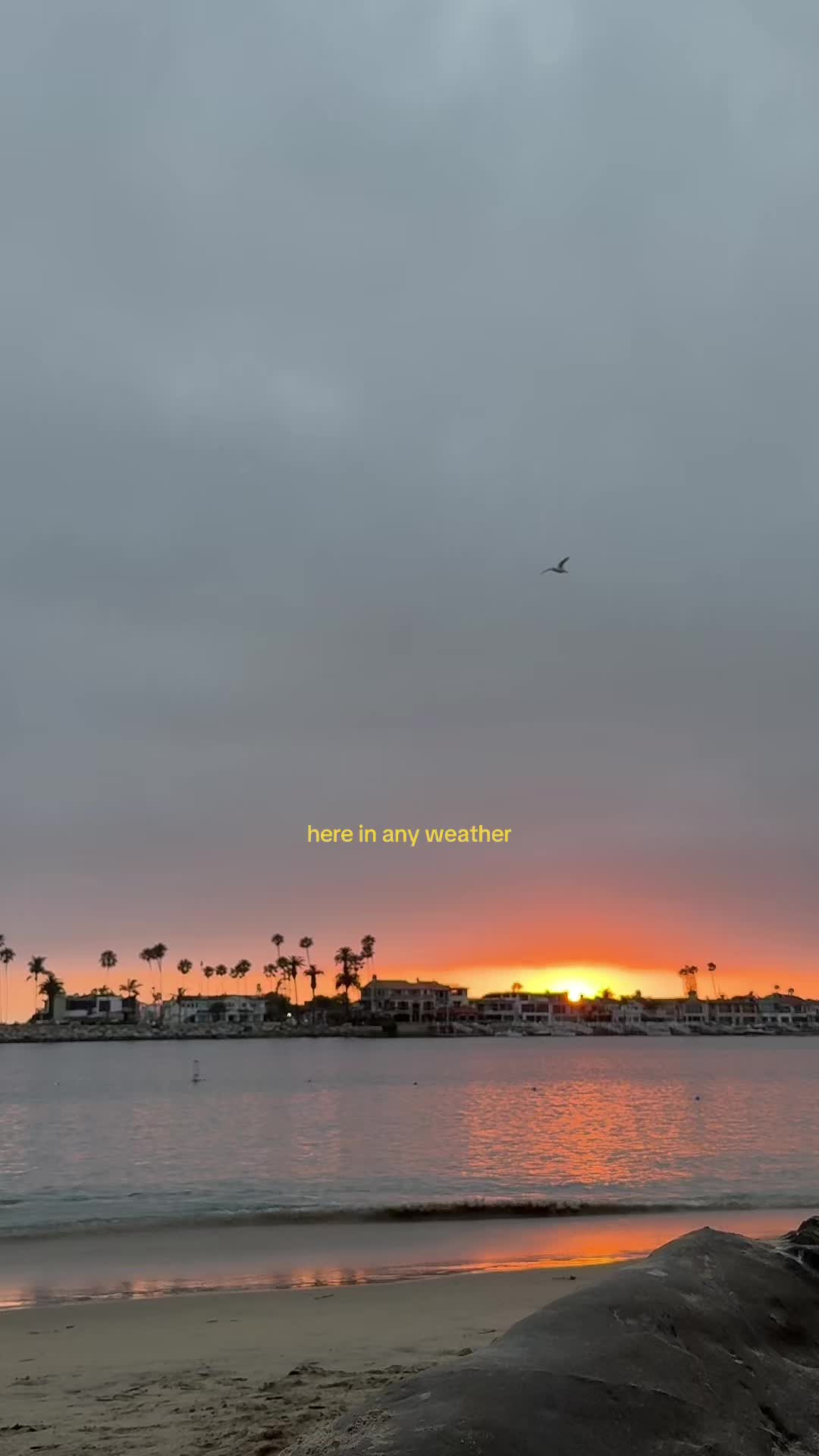 @Lindssss