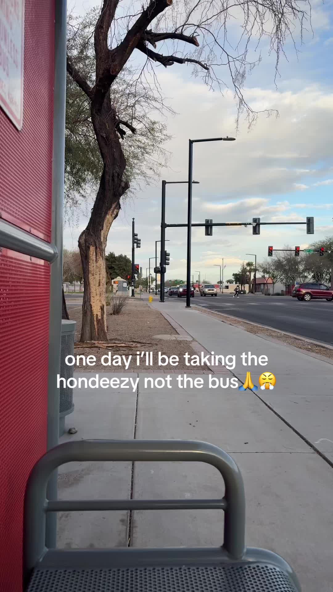 @elaina
