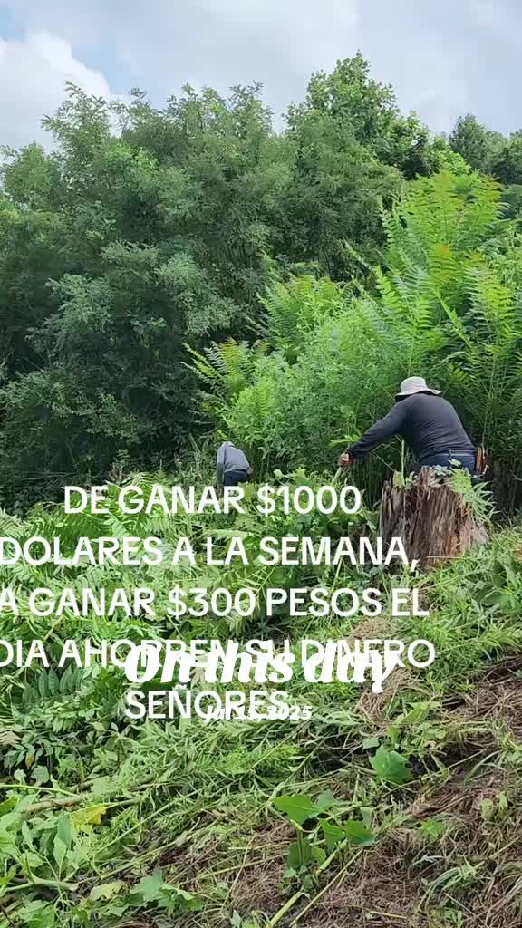 @hdez lawncare