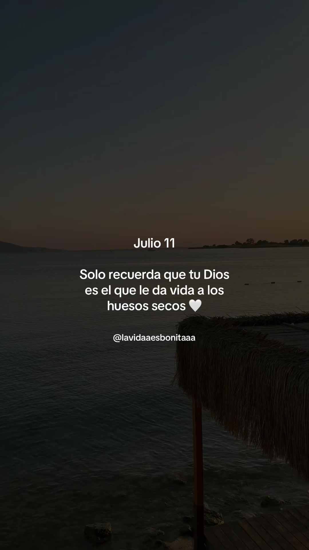 @vidabonita❤️🩹