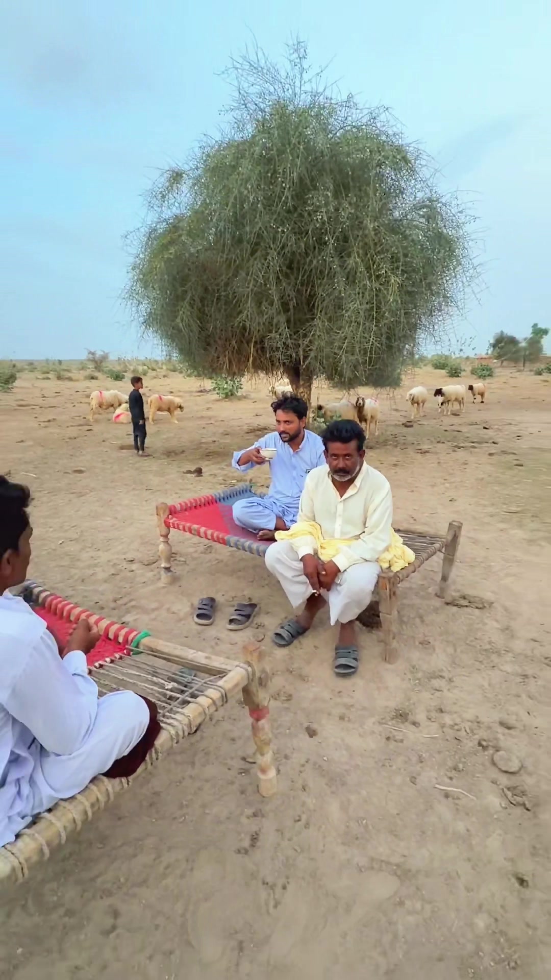 @Talha Ghouri