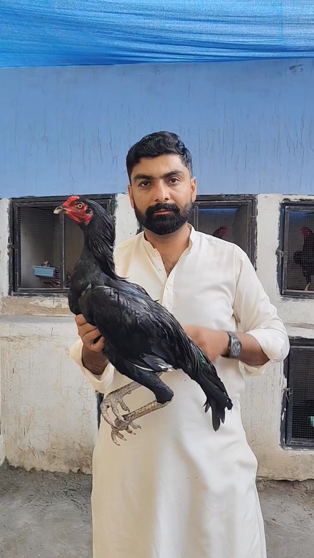 @Ahmad Bhatti