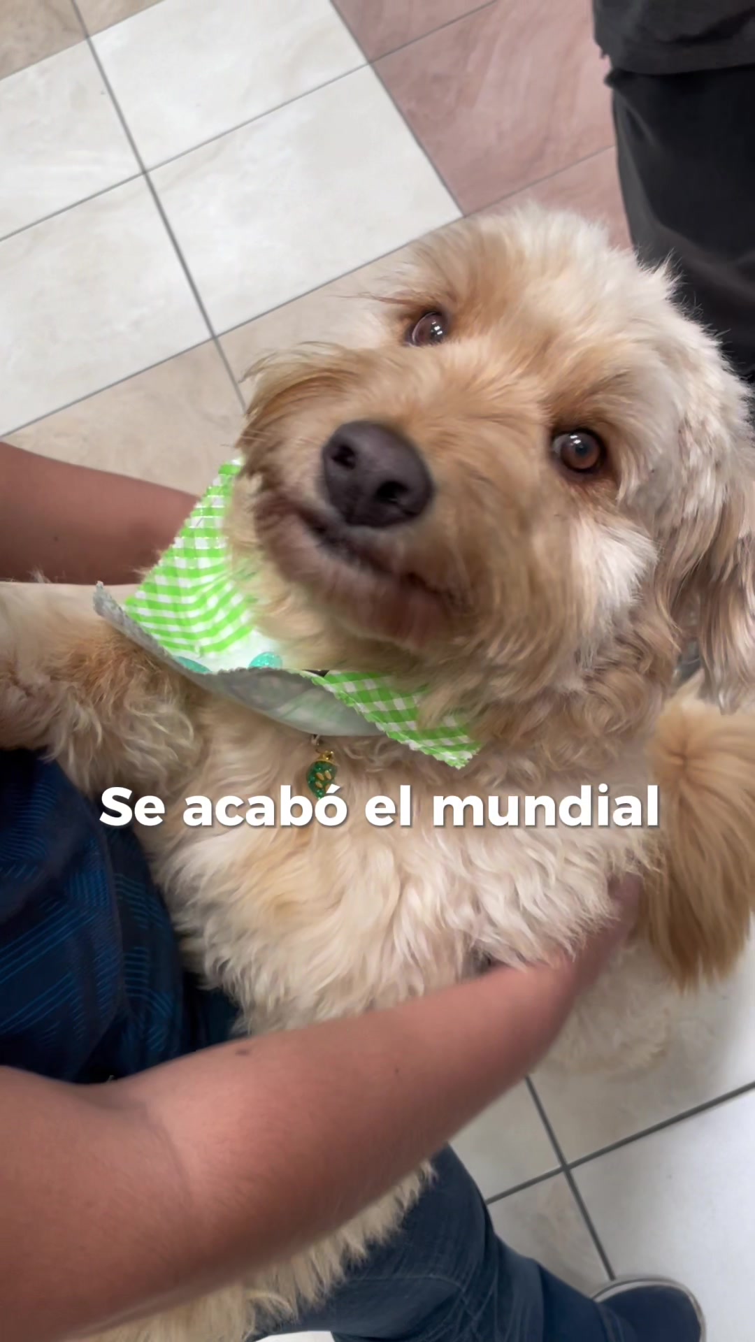 @amigosdelucas