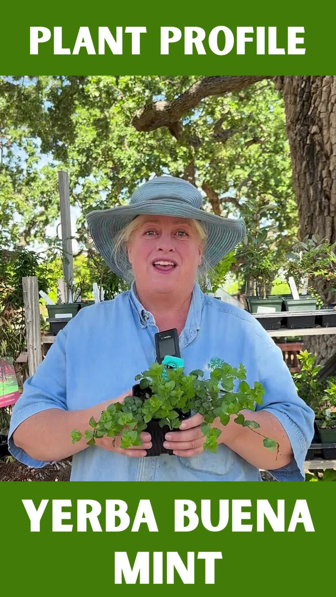 @Alden Lane Nursery