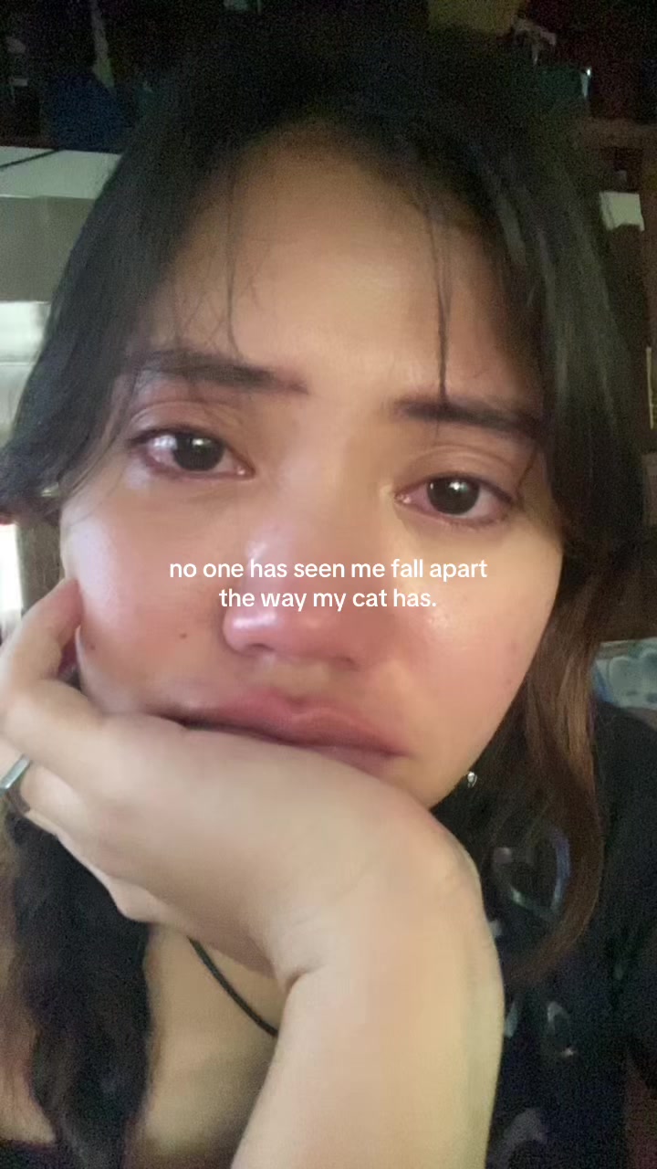 @Maxine