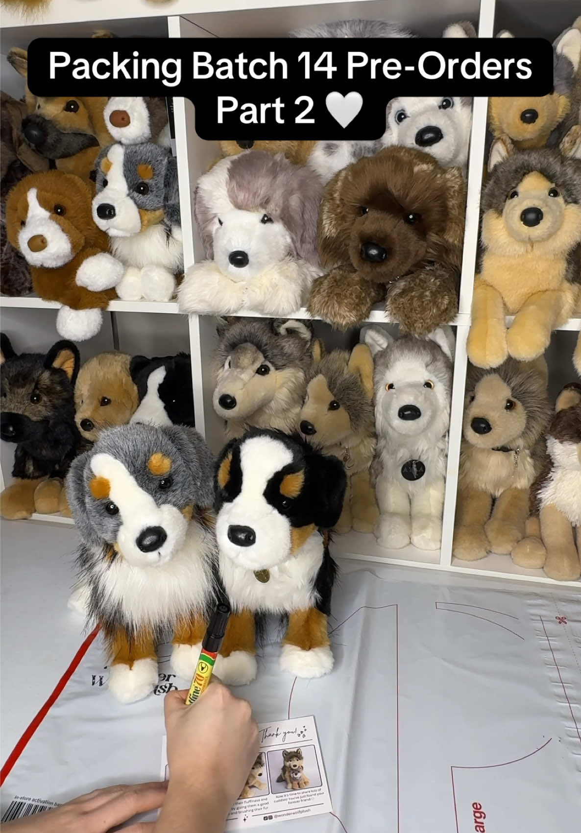 @Wonder Wolf Plush