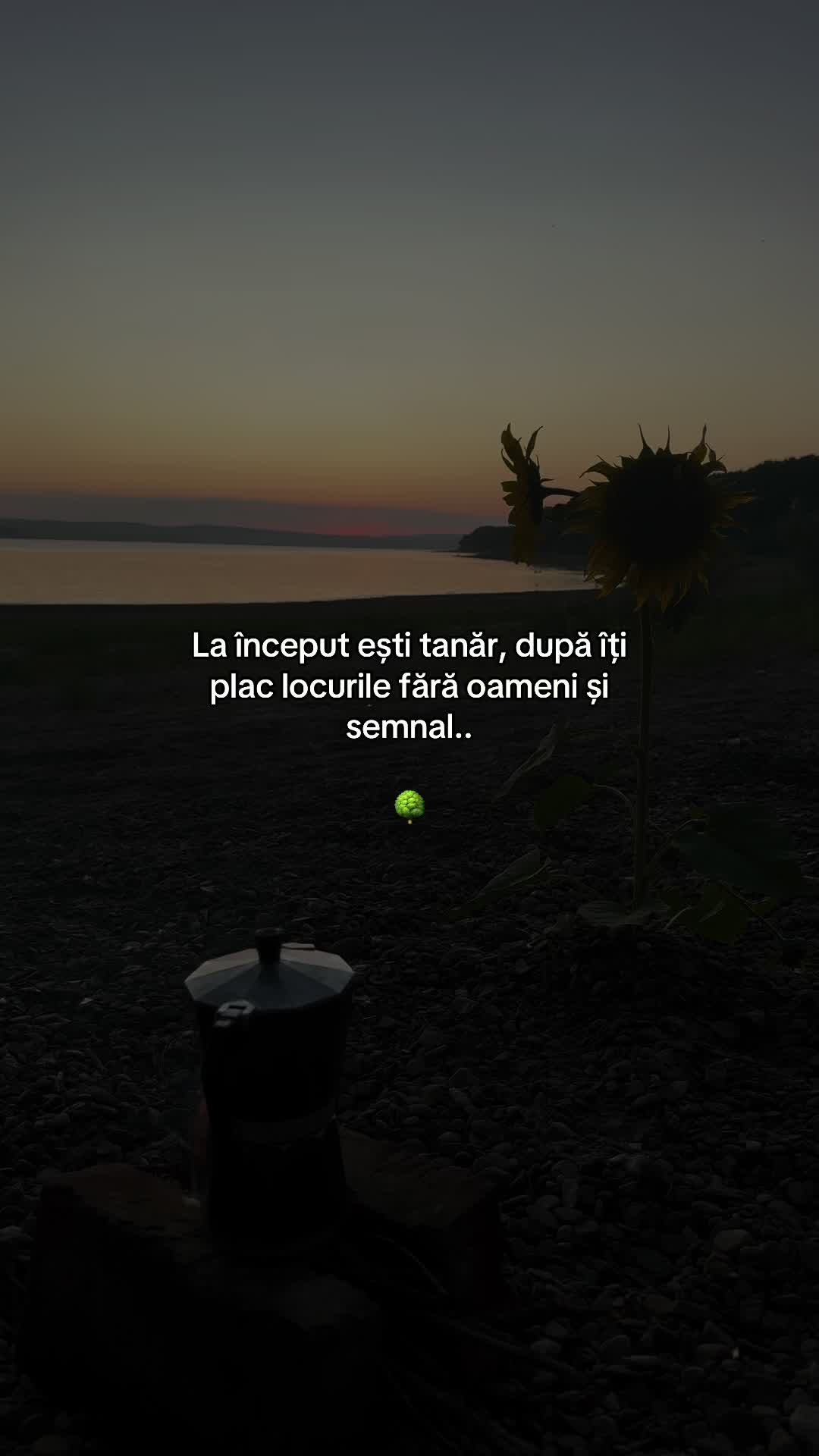 @C C C 🤍