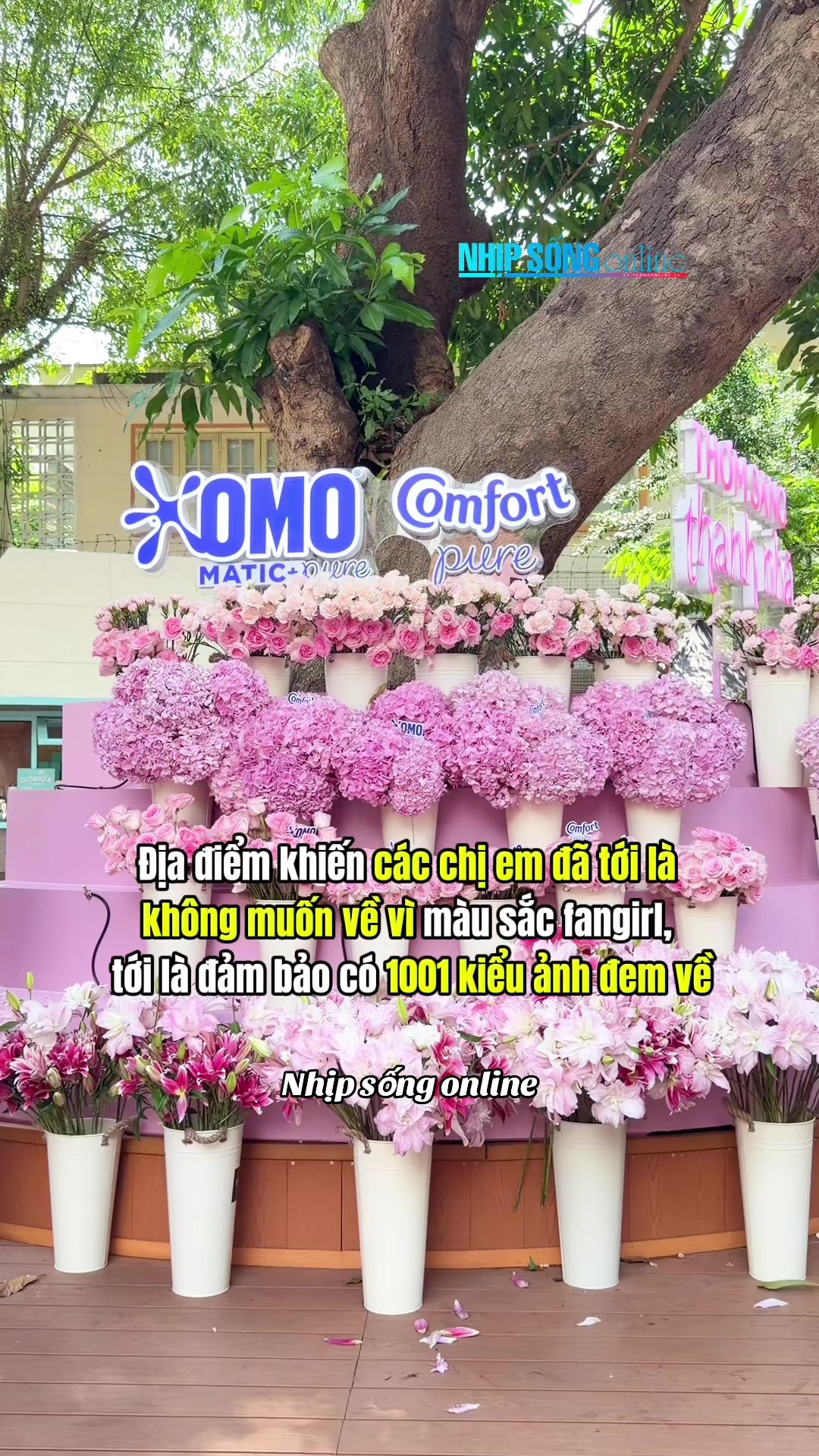 @Nhịp Sống Online