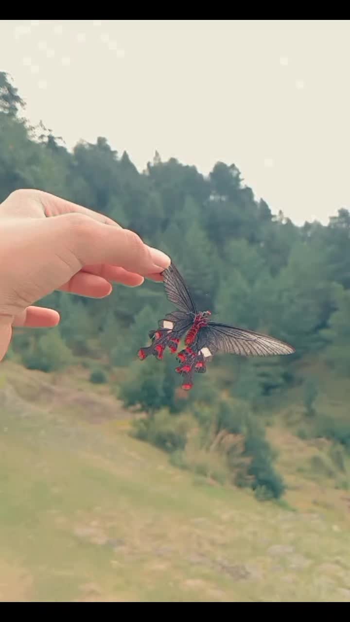 @shamzakhurram20