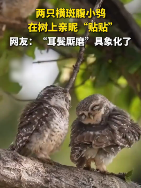 @闽南风~