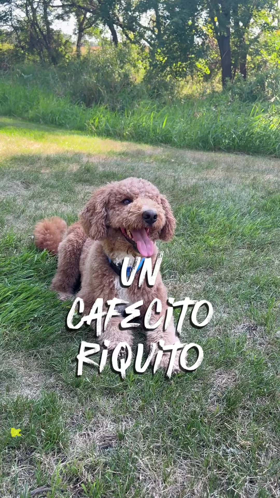 @Reyna y Churro 🐶😍