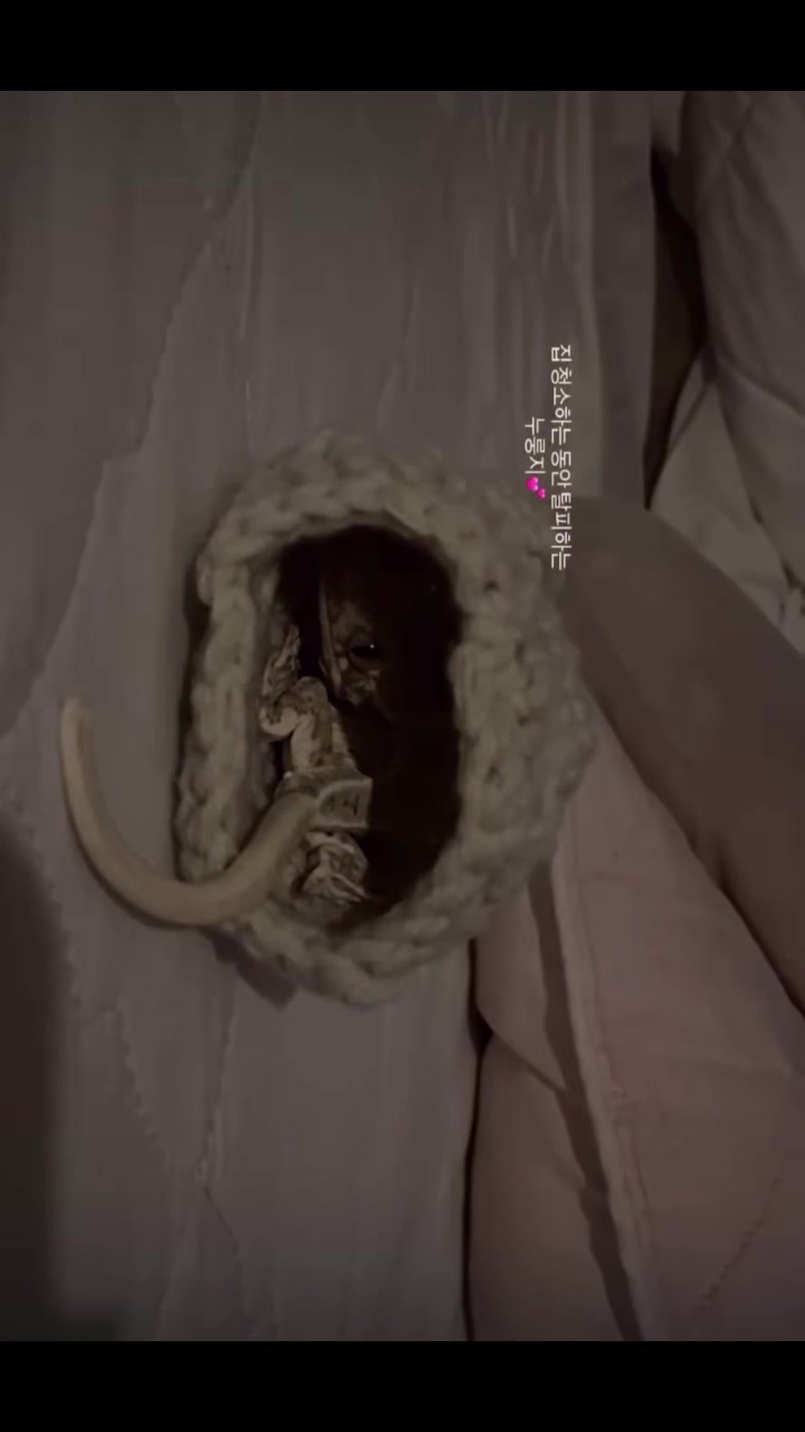 @흑임자누룽지