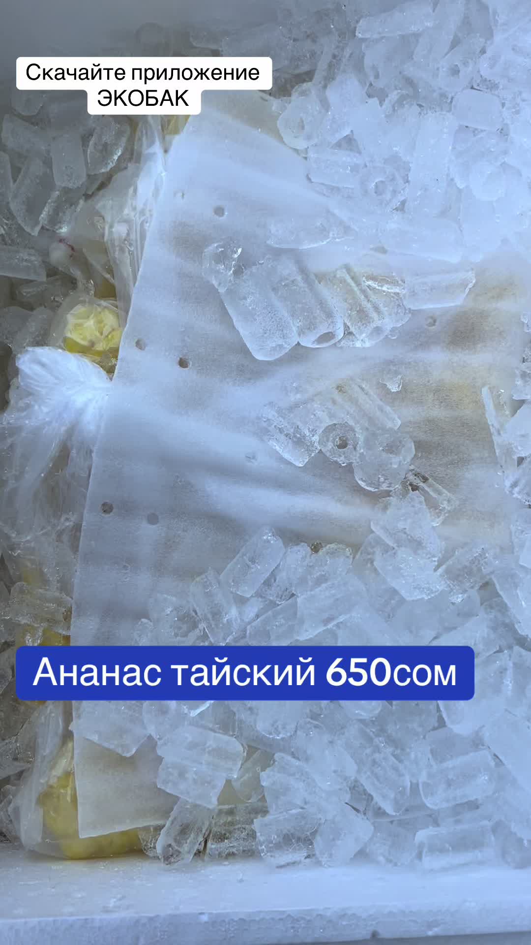 @ecobak_onlinemarket