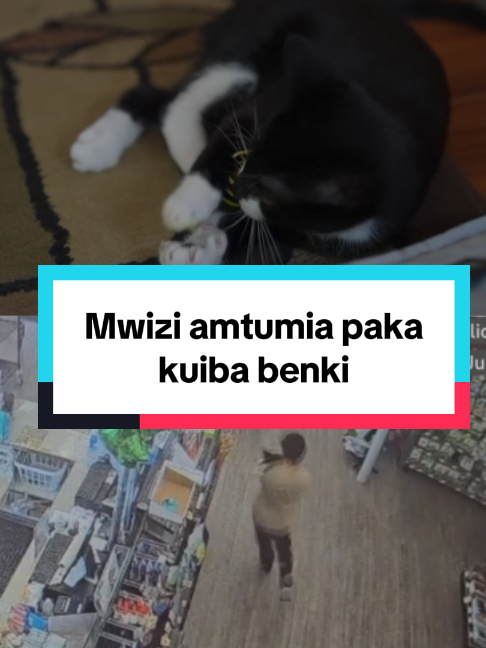 @bbcnewsswahili