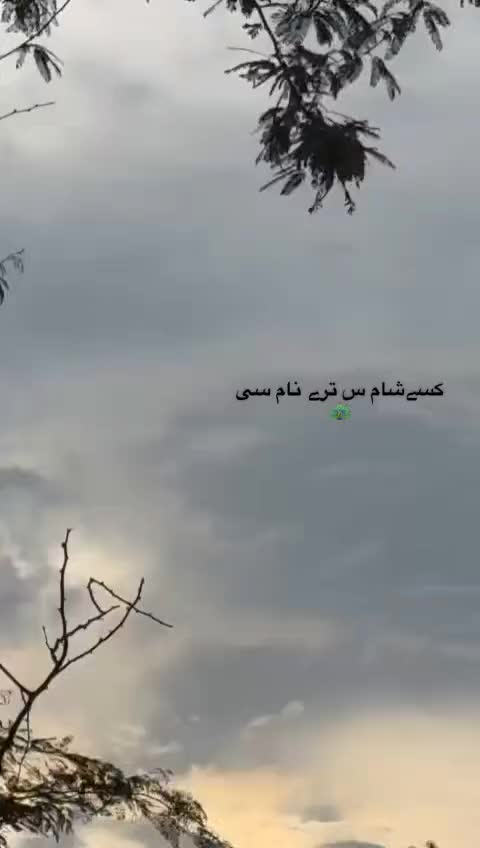 @softvibes🌸💫