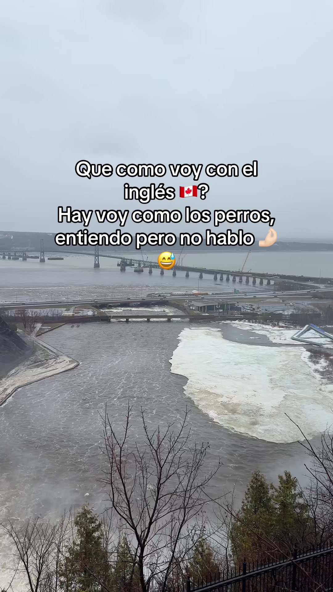@Bea 💗🇨🇦