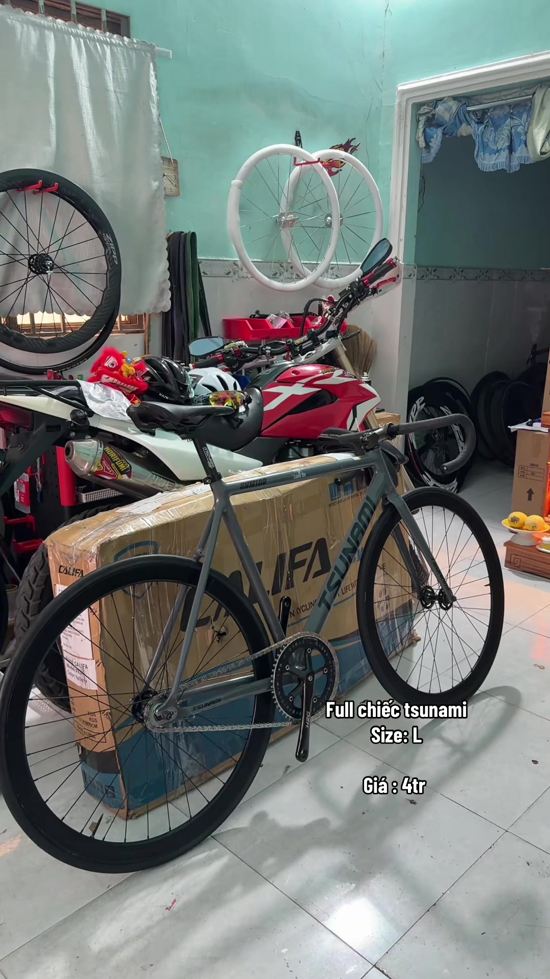 @Fixed Gear No1