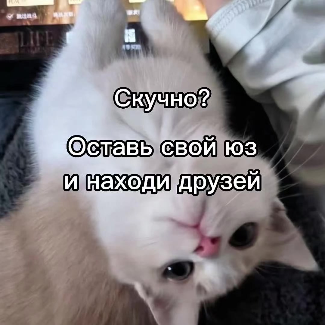 @mivrac