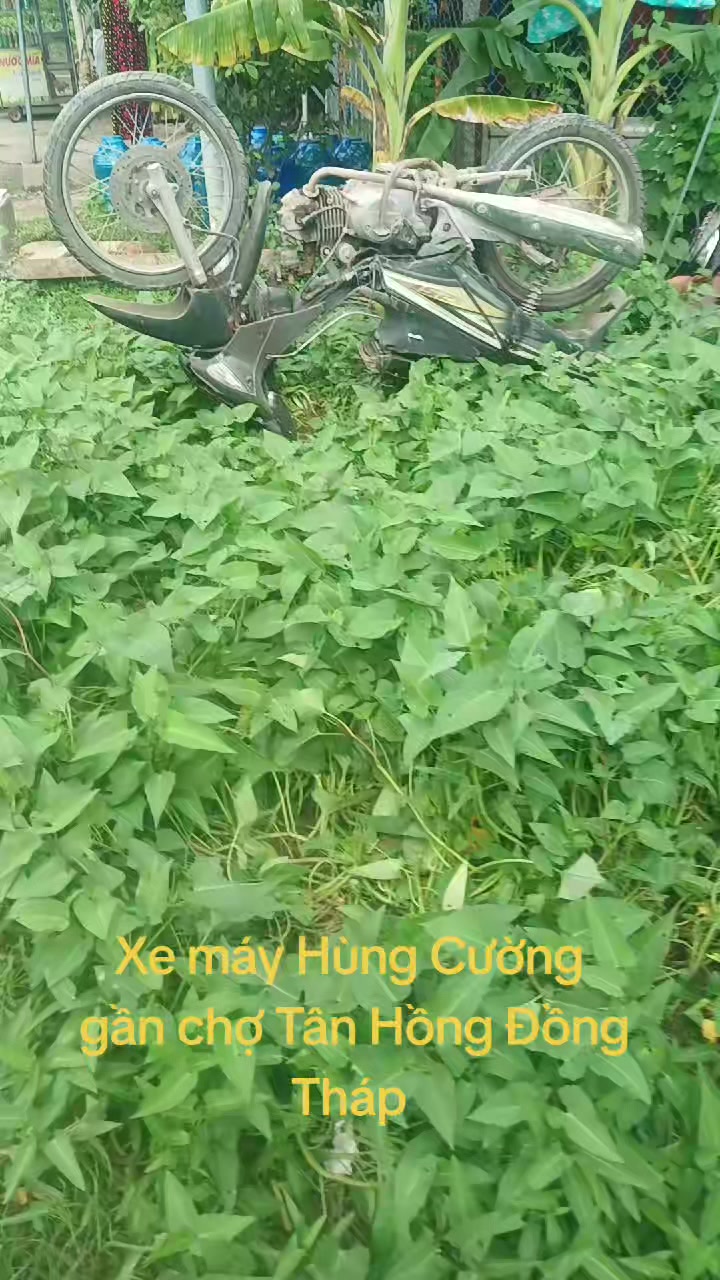 @CKP