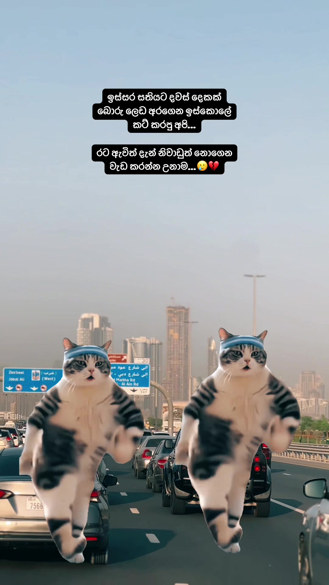 @🇱🇰 චමුවා 🇦🇪