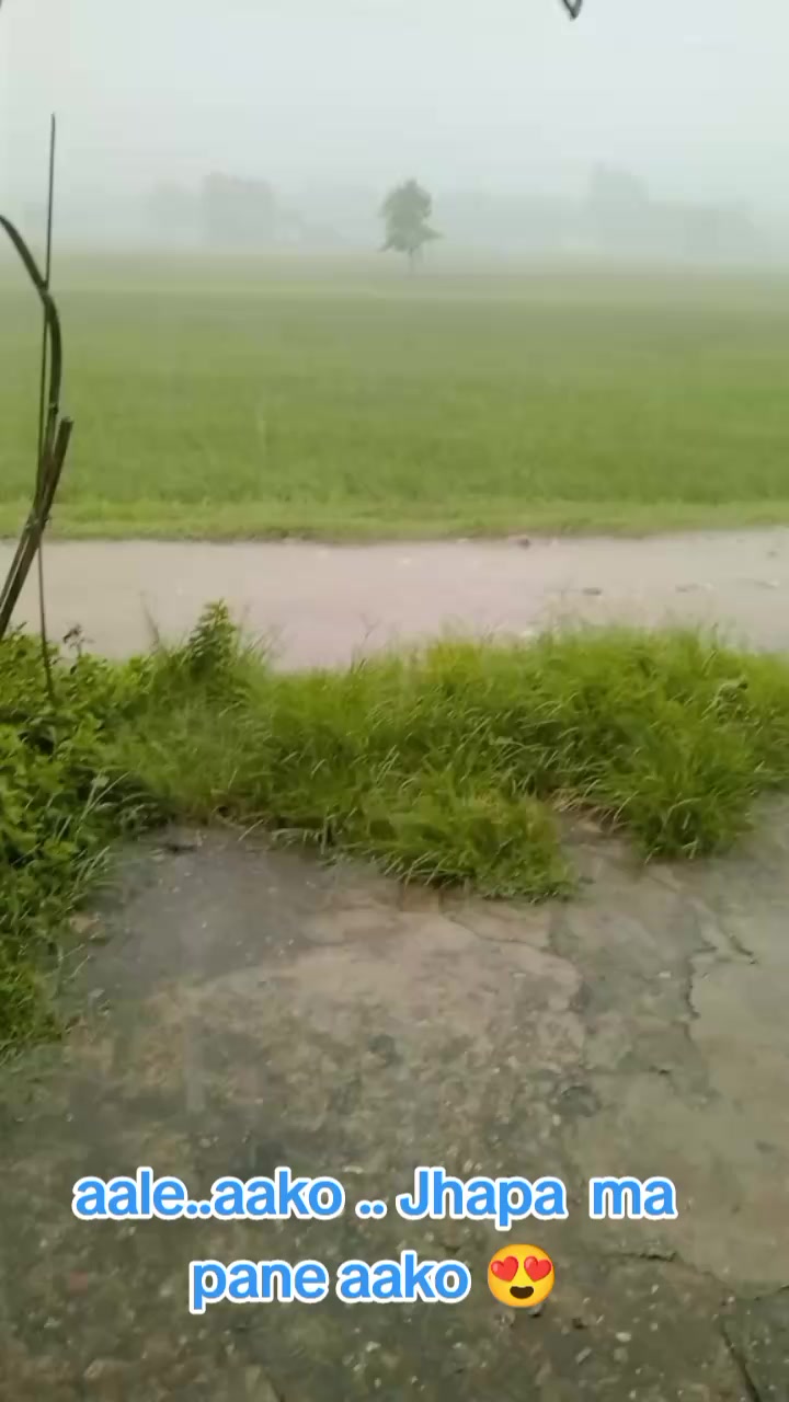 @GITA CHAULAGAIN