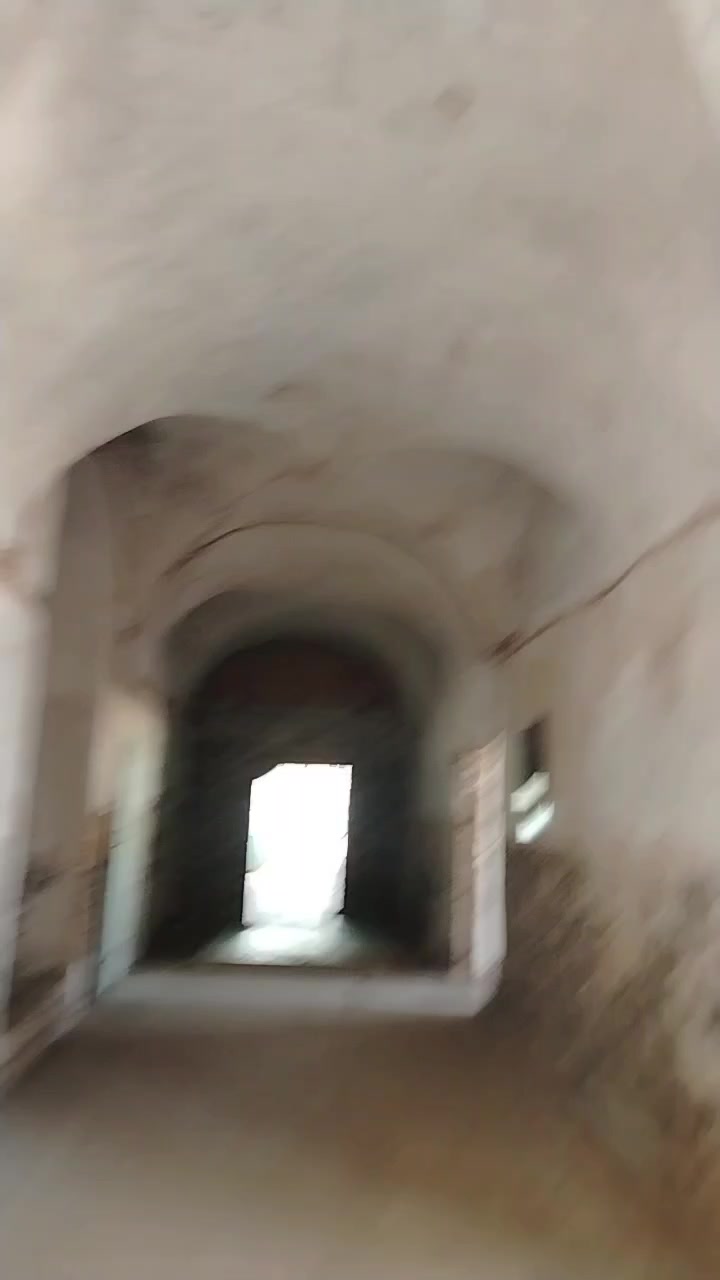 @я scp 008-2