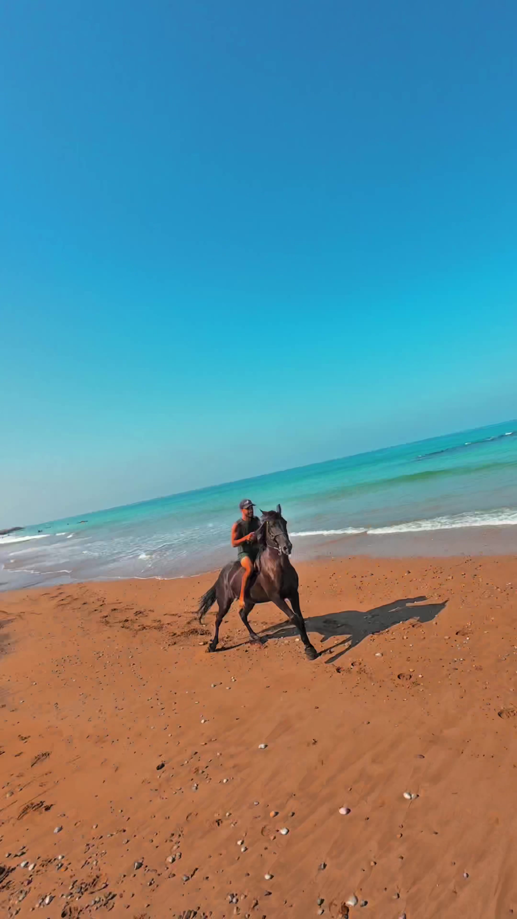 @Cheval_agadir