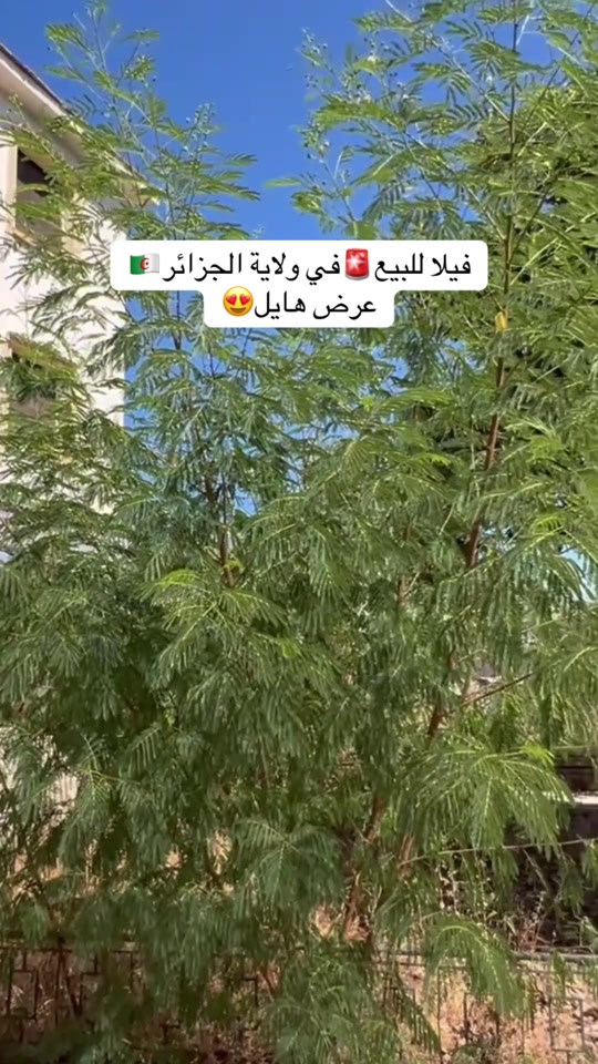@Elwakil_immobilier