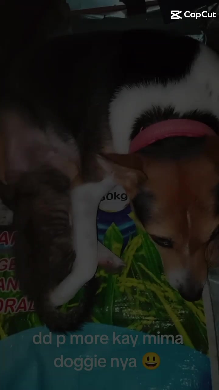 @Kamadi