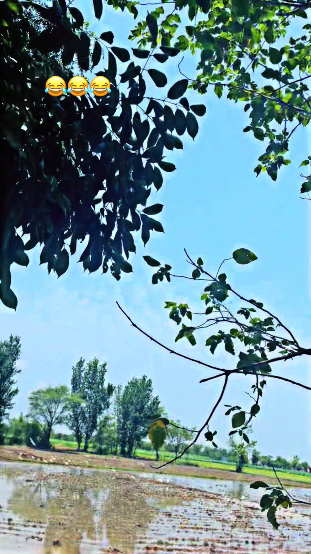 @Salman Ranjha