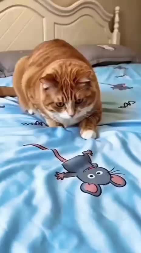 @Funny