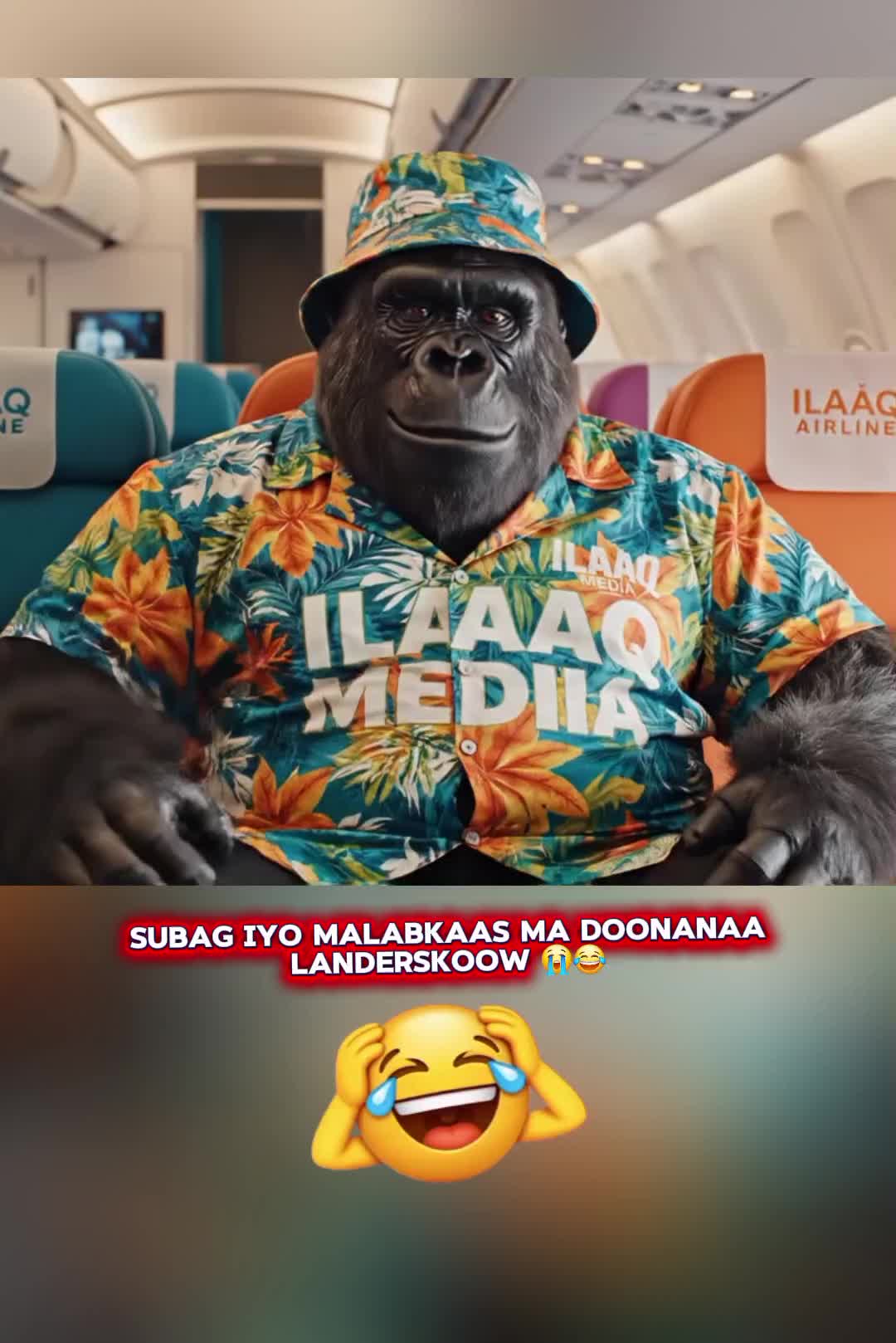 @Mohammed ilaak