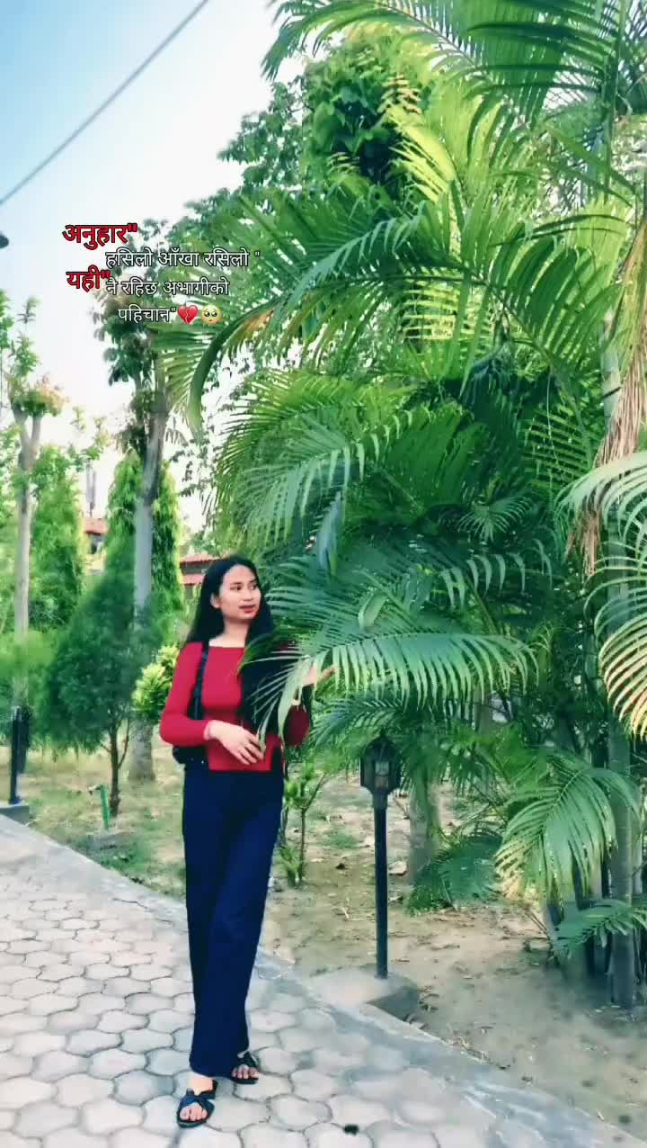 @Syani💐