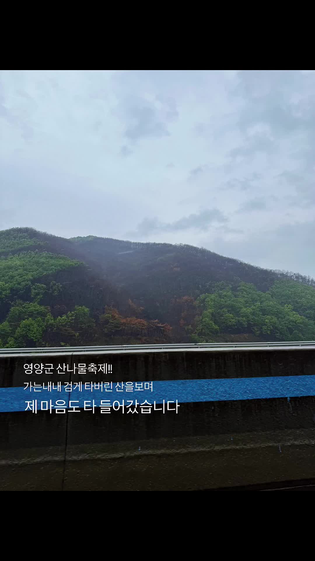 @⚒️👑망치왕👑⚒️🇰🇷