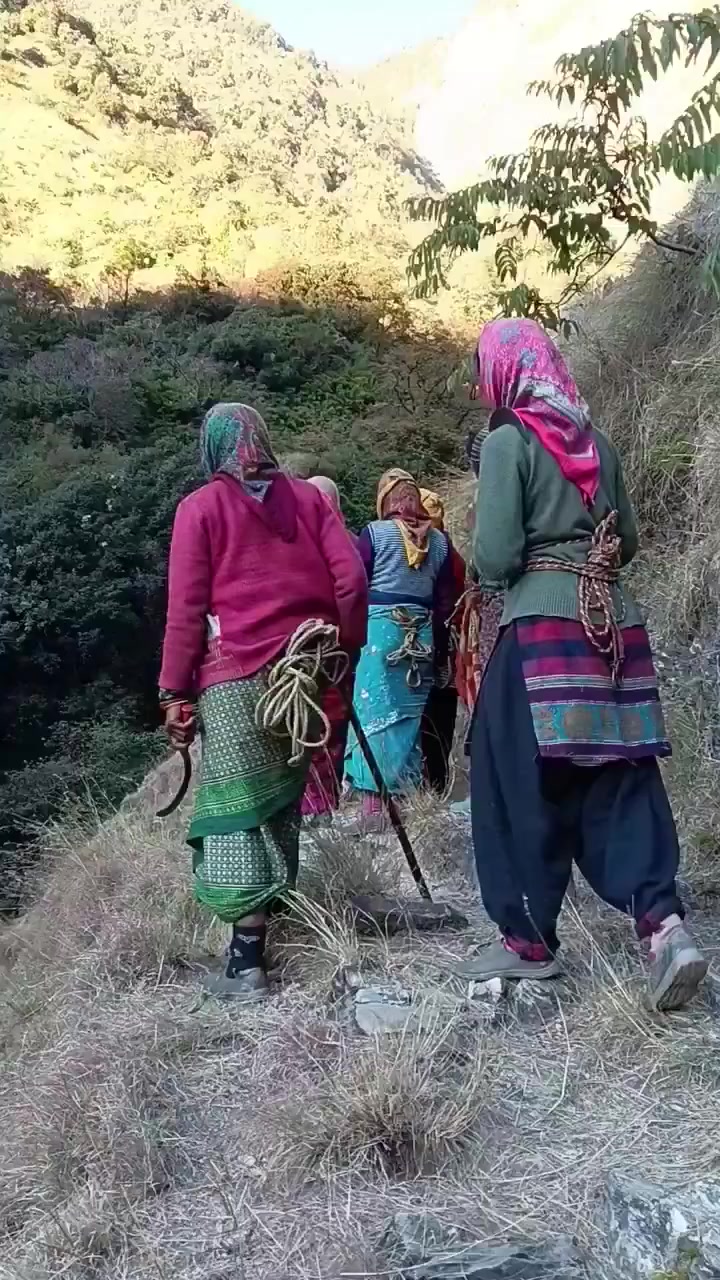 @Makan Sangita Singh