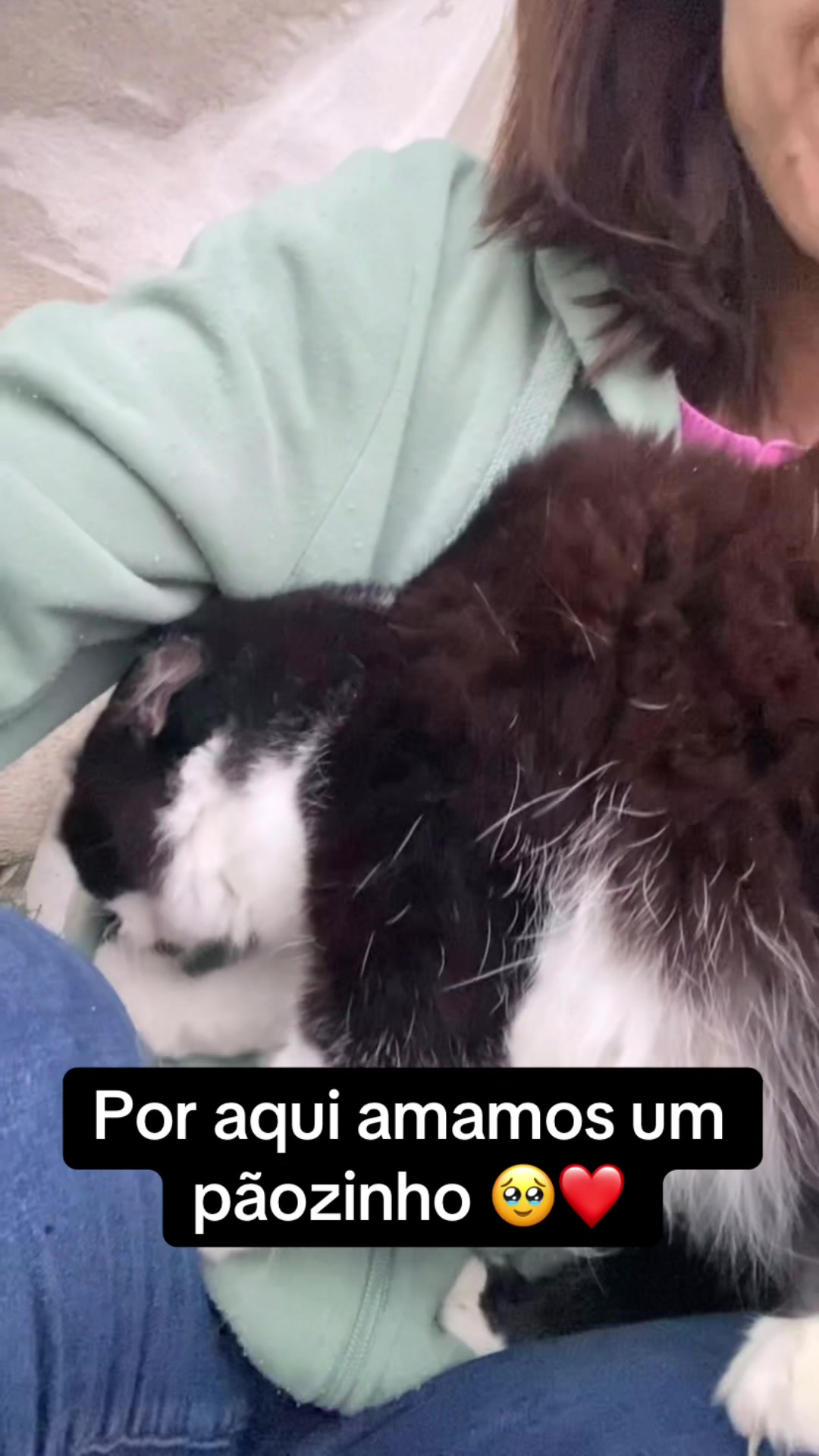 @Karoleos12gatos