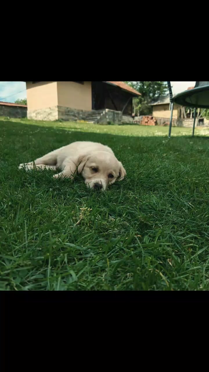 @неда&rsquo;☦︎︎💛