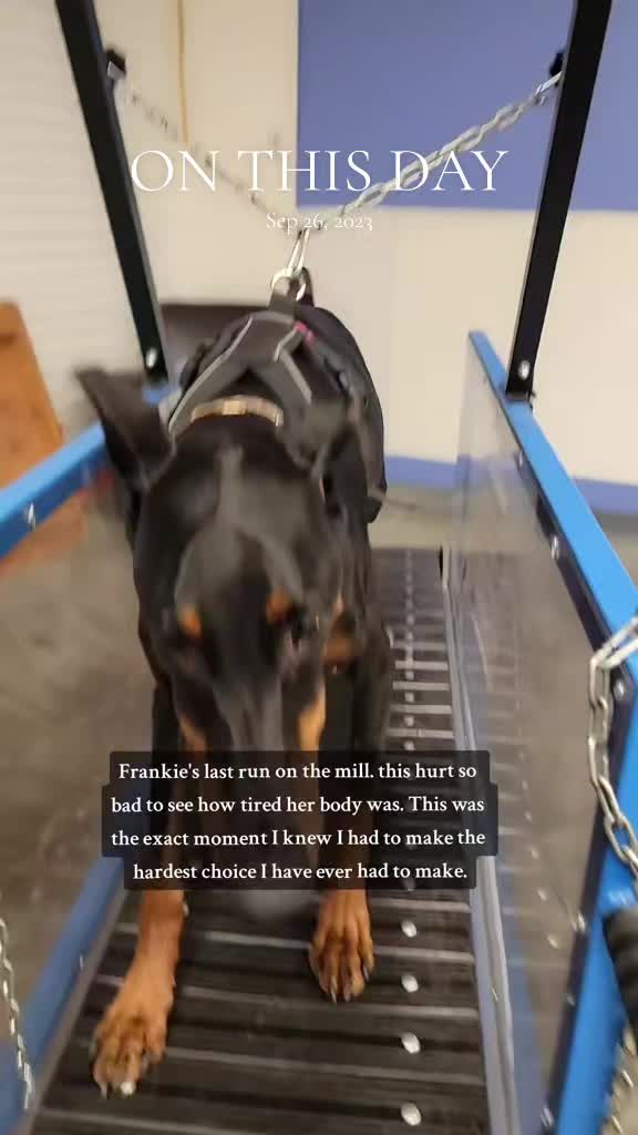 @RaisingHell.Hounds🇨🇦