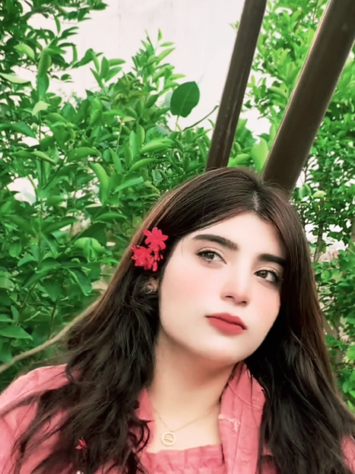 @طیبہ نعیم 🕊